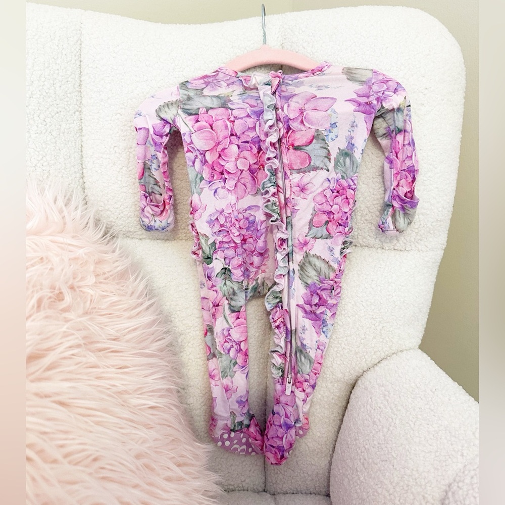 Bums + roses hydrangea zippy